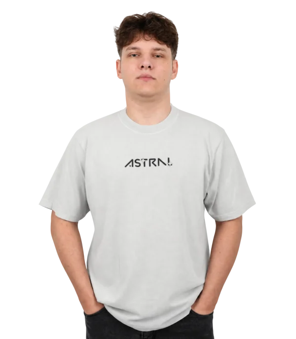 FIRST LIGHT T-SHIRT GRAY: CHAPTER IS WRITTEN
